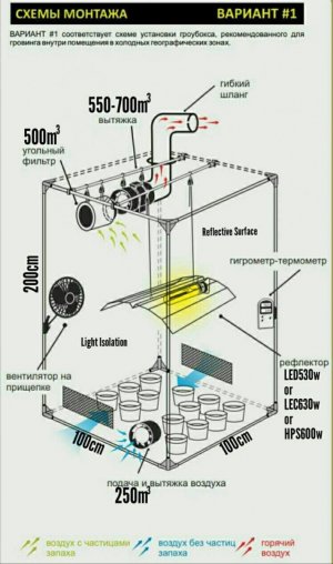 IMG_20230629_171711_565.jpg