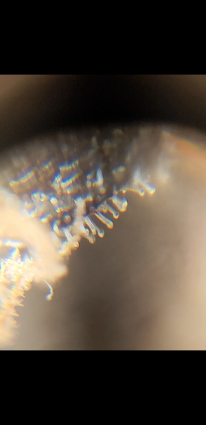 S30701-021045.png