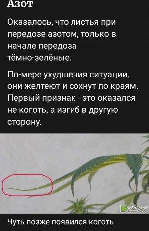 Screenshot_2023-07-01-17-40-11-33.jpg