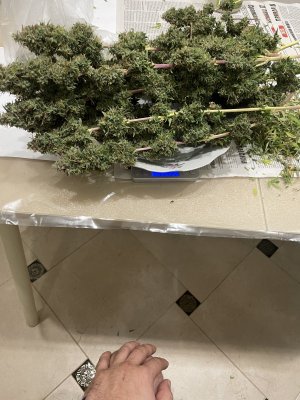 IMG_0849.jpeg