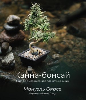 IMG_8414.jpeg