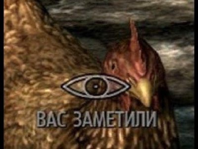 IMG_0983.jpeg