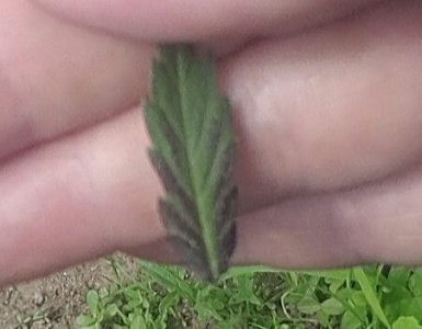 20230718_145641.jpg