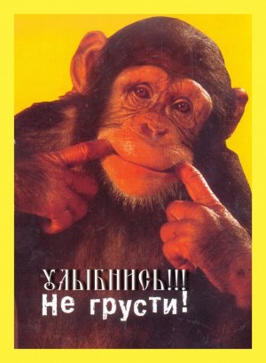 IMG_9210.jpeg