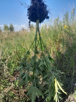 20230808_175855.jpg
