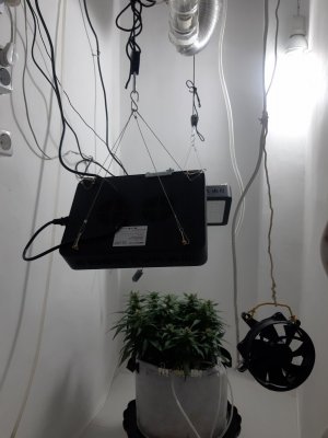 20230814_225246.jpg 20230814_225246.jpg