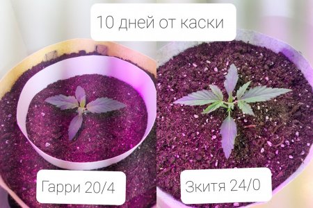 20220405_183113.jpg