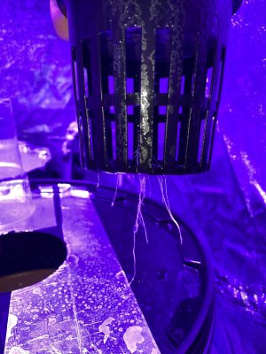IMG_1667.JPG