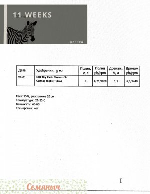 0FAA8371-D569-4D0A-80DE-4CDB0B6BB432.jpeg