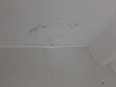 20230919_201825.jpg 20230919_201825.jpg