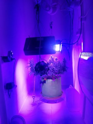 20230923_211104.jpg