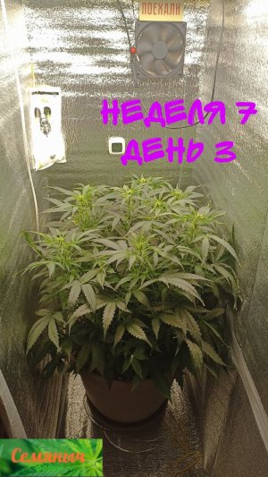 Picsart_23-09-20_07-39-05-072.jpg