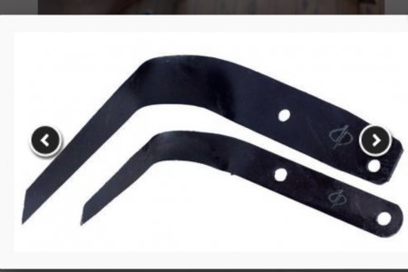 IMG_4389.jpeg