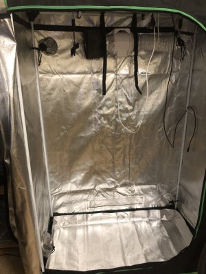 IMG_4353.jpeg IMG_4353.jpeg