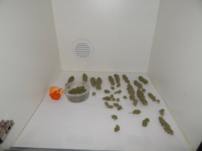 IMG_20231005_220539_106.JPG