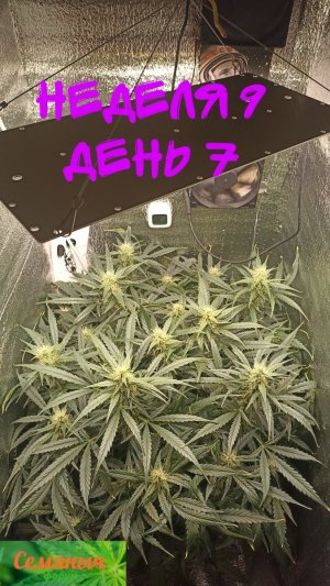 Picsart_23-10-08_08-12-23-614.jpg