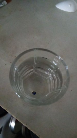 IMG_20231013_120103_299.jpg