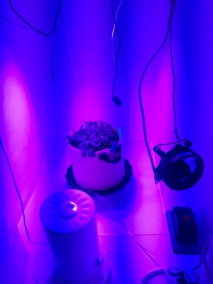 20231016_202146.jpg