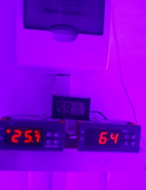 20231022_141823.jpg