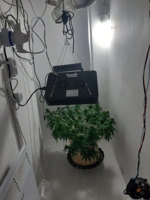 20231024_104713.jpg