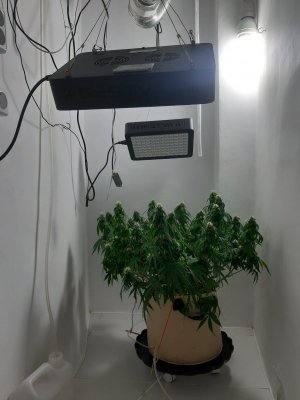 20231024_204614.jpg