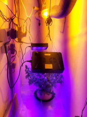 20231024_204539.jpg