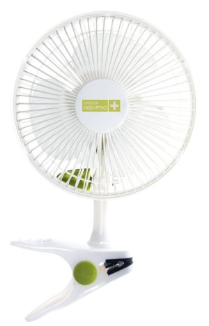 clipfanwhite06.jpg