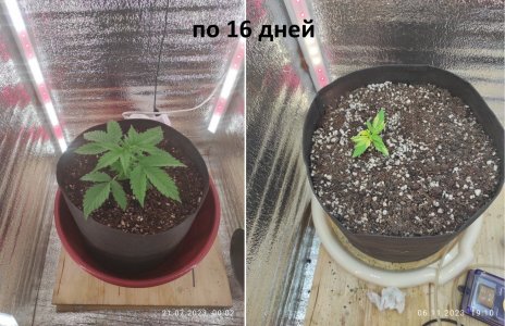 16.jpg 16.jpg