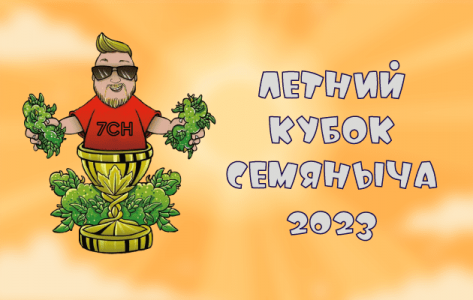 1700144251912.png
