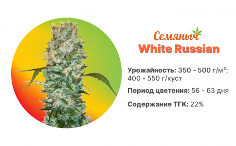 White Russian