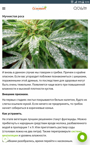 Screenshot_2023-12-10-02-04-28.png