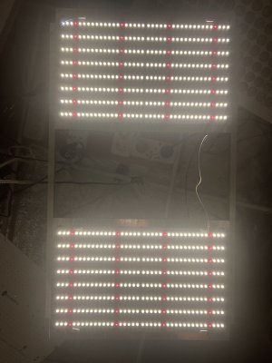 BEBDEA0C-2A84-4CD6-B9FD-85AE83560E8F.jpeg BEBDEA0C-2A84-4CD6-B9FD-85AE83560E8F.jpeg