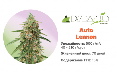 Auto Lennon