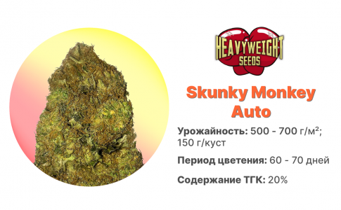 Skunky Monkey Auto