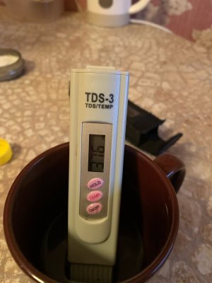 IMG_0342.jpeg