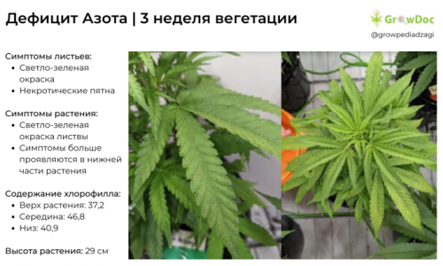 2.thumb.png.a4d0c6c7bb905f864ceee704402daee1.png