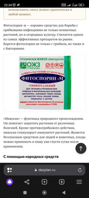 Screenshot_2024-03-19-22-34-02-202_com.yandex.browser.jpg