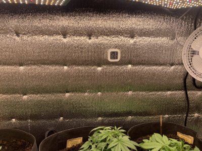 1F293706-8E39-495E-B0DA-D71B73563AB1.jpeg 1F293706-8E39-495E-B0DA-D71B73563AB1.jpeg