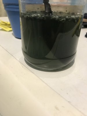 E24E12B6-04D3-4B7E-8DA1-CF2EDBCB5C9F.jpeg