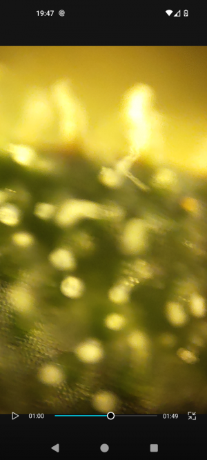 Screenshot_20240509-194702.png