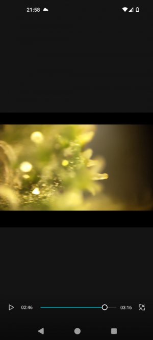 Screenshot_20240509-215802.png