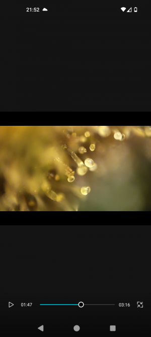 Screenshot_20240509-215252.png