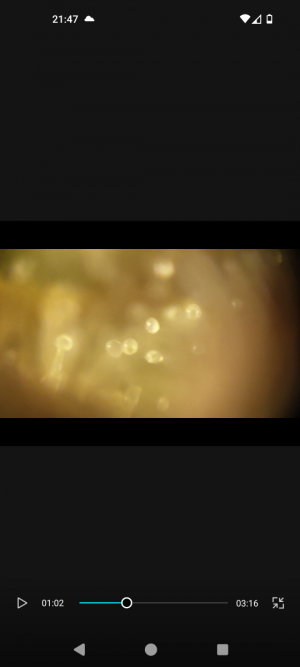 Screenshot_20240509-214744.png