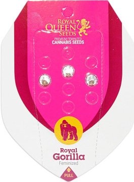 royal gorilla.jpg