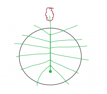 1715867615815.png