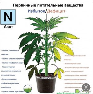 IMG_3570.jpeg IMG_3570.jpeg