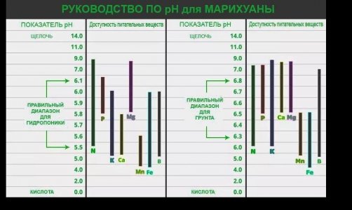 авыаывыв.jpg