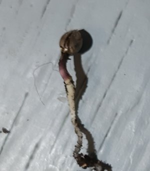 20220314_101355.jpg