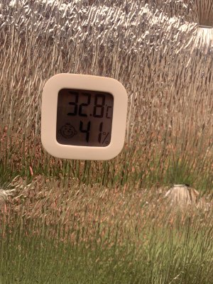 79C5A5D6-AAC6-40E6-8771-25FD687CFA40.jpeg