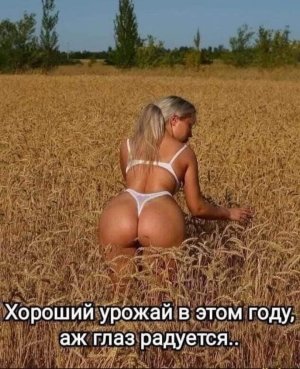 41.JPG